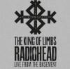 Radiohead Daily Mail Video Testo Traduzione