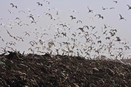 Città del Messico, chiusa una delle più grandi discariche al mondo