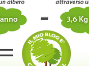 Progetto blog albero"