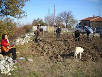 L'orto sinergico è nato! e quanto ci siamo divertiti :)