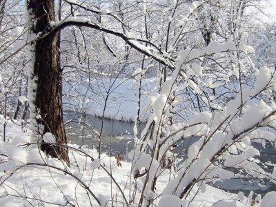 Freddo. E neve al sud. Ma è ufficialmente inverno...