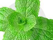 Pasticcini alla menta