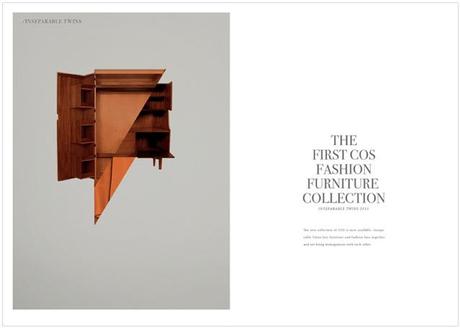 'Inseparable twins' by Mandy Rep