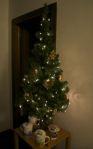 Biscotti albero natale4