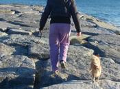 Lunghe passeggiate bruciare Panettone