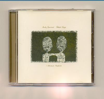 Recensione di I Advance Masked di Andy Summers e Robert Fripp, 1982 AM Records