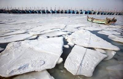 GLI OCEANI RISPONDONO AL MINIMO SOLARE..RAFFREDDANDOSI