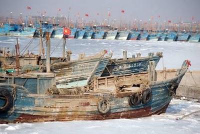 GLI OCEANI RISPONDONO AL MINIMO SOLARE..RAFFREDDANDOSI