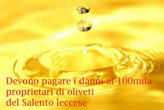 Devono pagare i danni ai 220mila proprietari di oliveti del Salento leccese