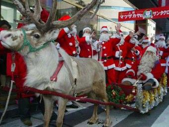 Babbo Natale senza renne? Le renne canadesi a rischio definitiva estinzione