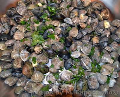 Buon Natale  ... da Positano