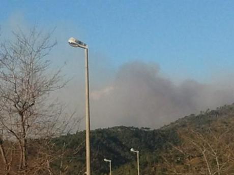 Vado Ligure: allarme a Termini il fuoco è alle porte. Foto Giuseppe Caviglia