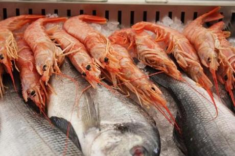 Arezzo: un Natale di Passione 