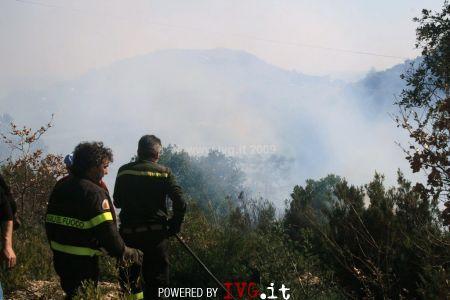 Incendi in Liguria  Petardi, forse questa, la causa del rogo in Liguria 