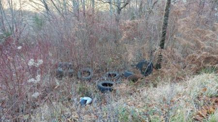 Colle della Trinità, pneumatici come frutti di bosco?