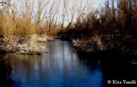 SOLE SUL LAGO GHIACCIATO:due passi a LUNGAVILLA