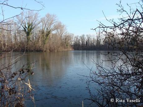 SOLE SUL LAGO GHIACCIATO:due passi a LUNGAVILLA