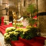 addobbo con stelle di natale bianche