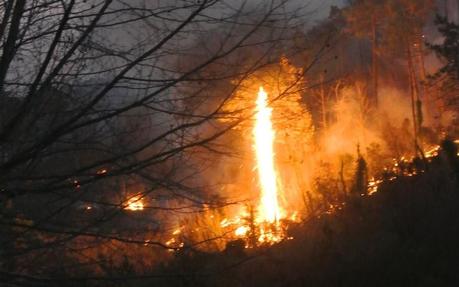 Nuovi focolai d'incendio a Vado Ligure