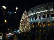 Alberi Natale veri sotto cielo Roma… dopo feste riconsegnateli corpo forestale