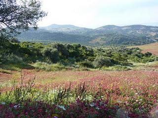 Parco Nazionale di Taza