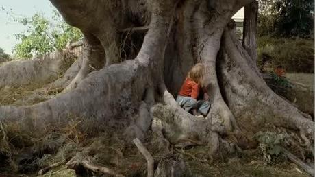 L'albero (2010)