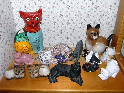 Roba da gatti: collezioni.