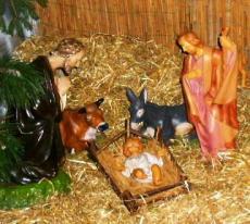 Un Presepe antiomofobo crea polemica in Italia. Due San Giuseppe al Pacì Paciana