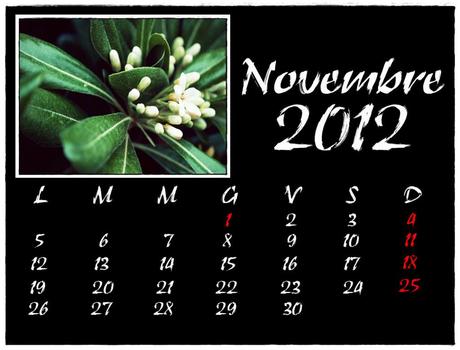 IL MIO CALENDARIO 2012