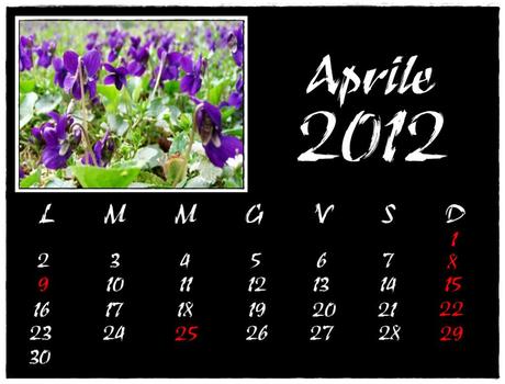 IL MIO CALENDARIO 2012