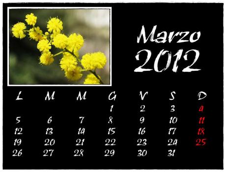 IL MIO CALENDARIO 2012
