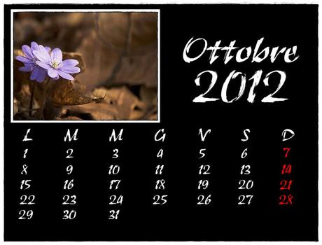 IL MIO CALENDARIO 2012
