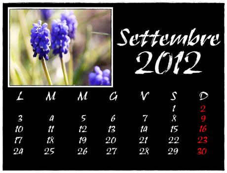 IL MIO CALENDARIO 2012