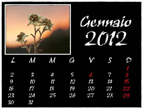 IL MIO CALENDARIO 2012