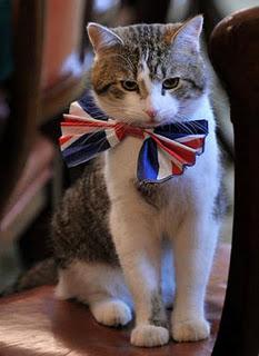 LARRY, IL GATTO DI DOWNING STREET HA IL DIVIETO DI ENTRARE NELL'APPARTAMENTO PRIVATO DI CAMERON