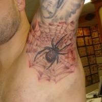 foto-sfondi-tatuaggi-colorati-ragno-ragnatela