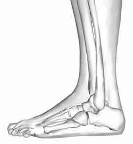 Micro chirurgia del piede