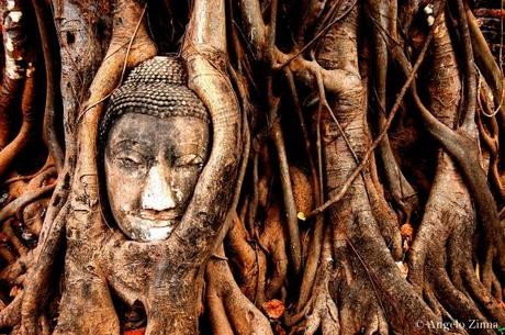 Il mio 2011 in 15 foto