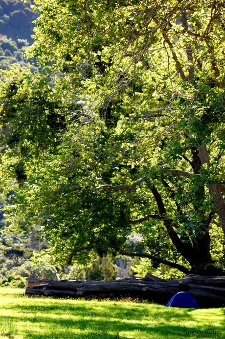 Il mio 2011 in 15 foto