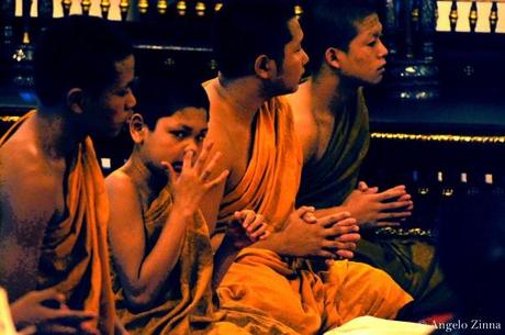 Il mio 2011 in 15 foto