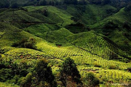 Il mio 2011 in 15 foto