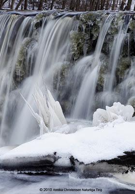 Neve, Neige, Snow, Lumi