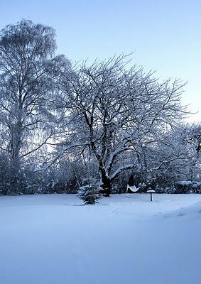 Neve, Neige, Snow, Lumi