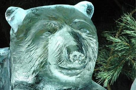 orso ghiaccio