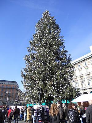 Le note etnee dell'albero di Natale vista Madonnina