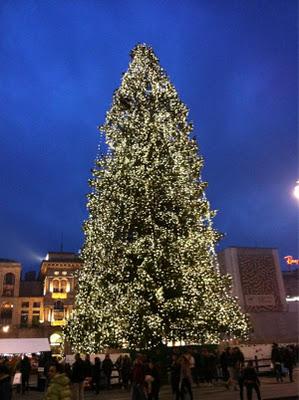 Le note etnee dell'albero di Natale vista Madonnina