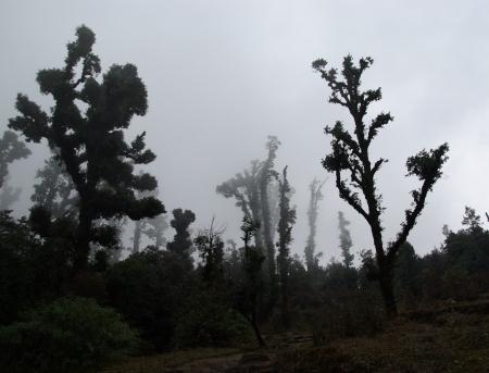 nepal,trekking,asia,viaggi