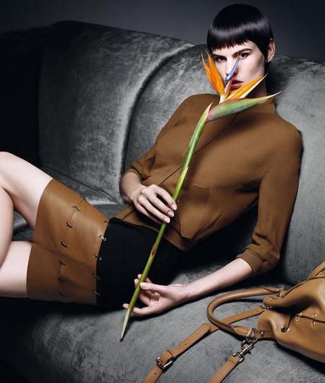 AD Campaign: Max Mara S/S 2012