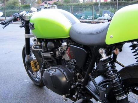 Frog Thruxton