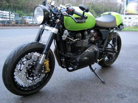 Frog Thruxton